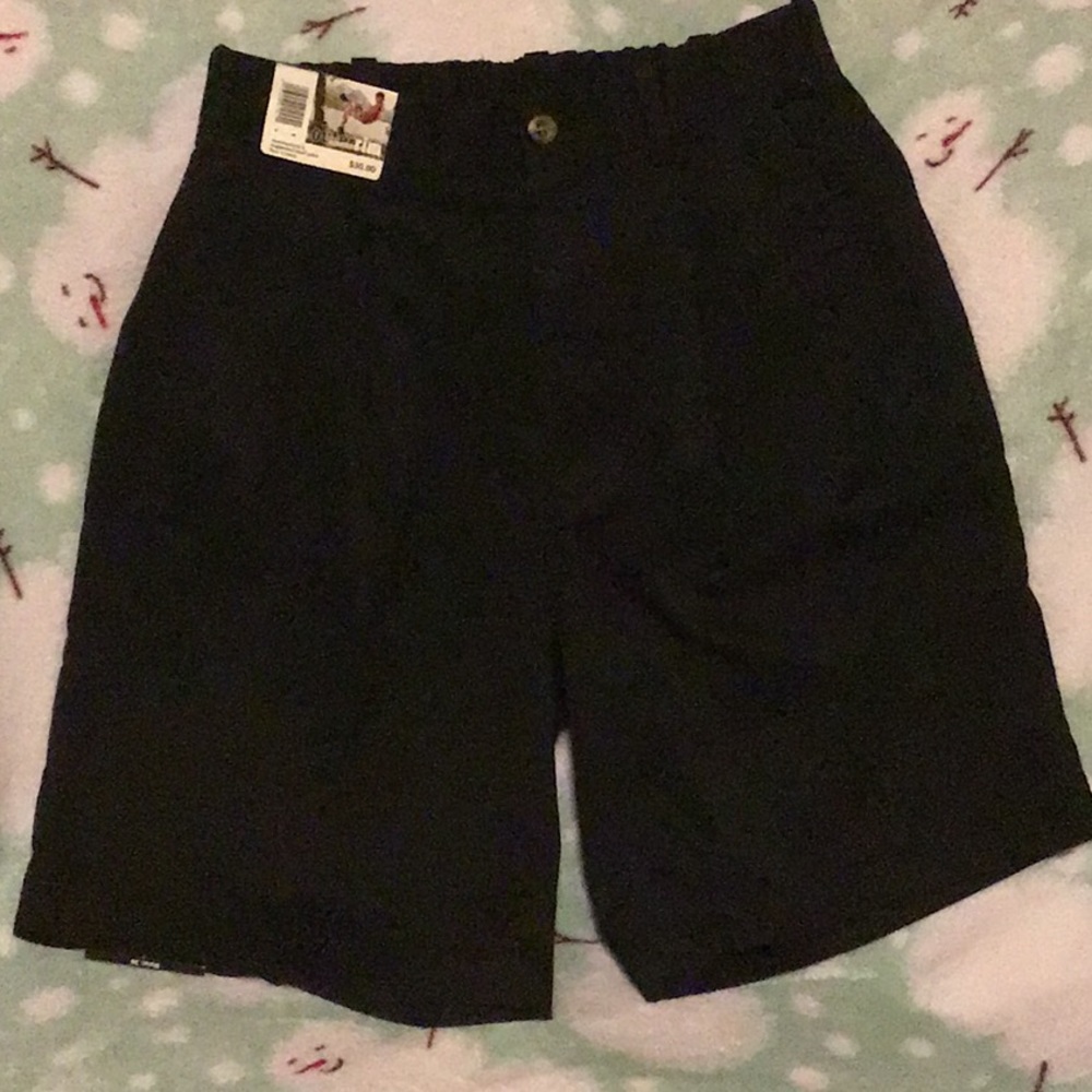 Outer Rim Pleated Front Elastic Waist Shorts